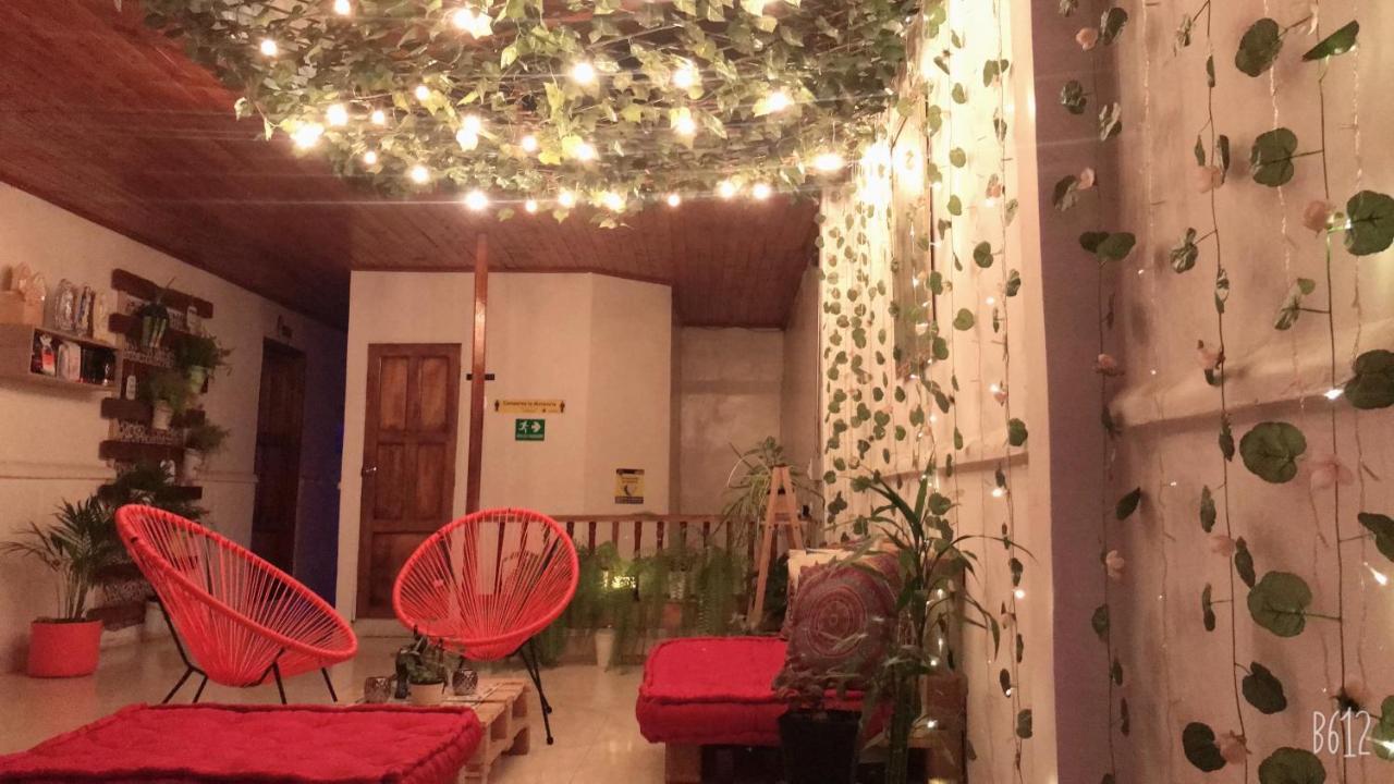 Hospedaje Casa Rosa Jardín Exteriör bild